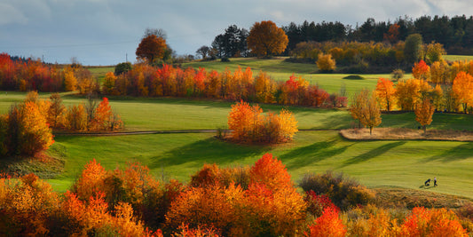 Transitioning your Turf for Fall